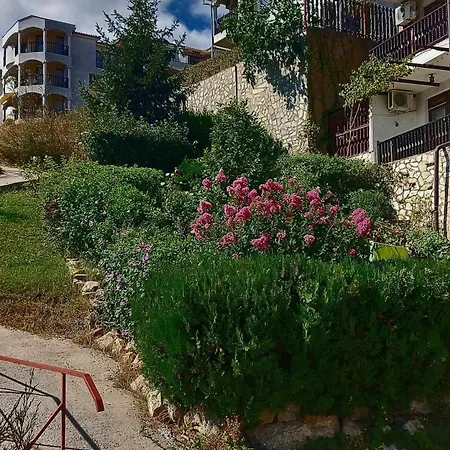 Petkovi - Saint Vlas Sveti Vlas